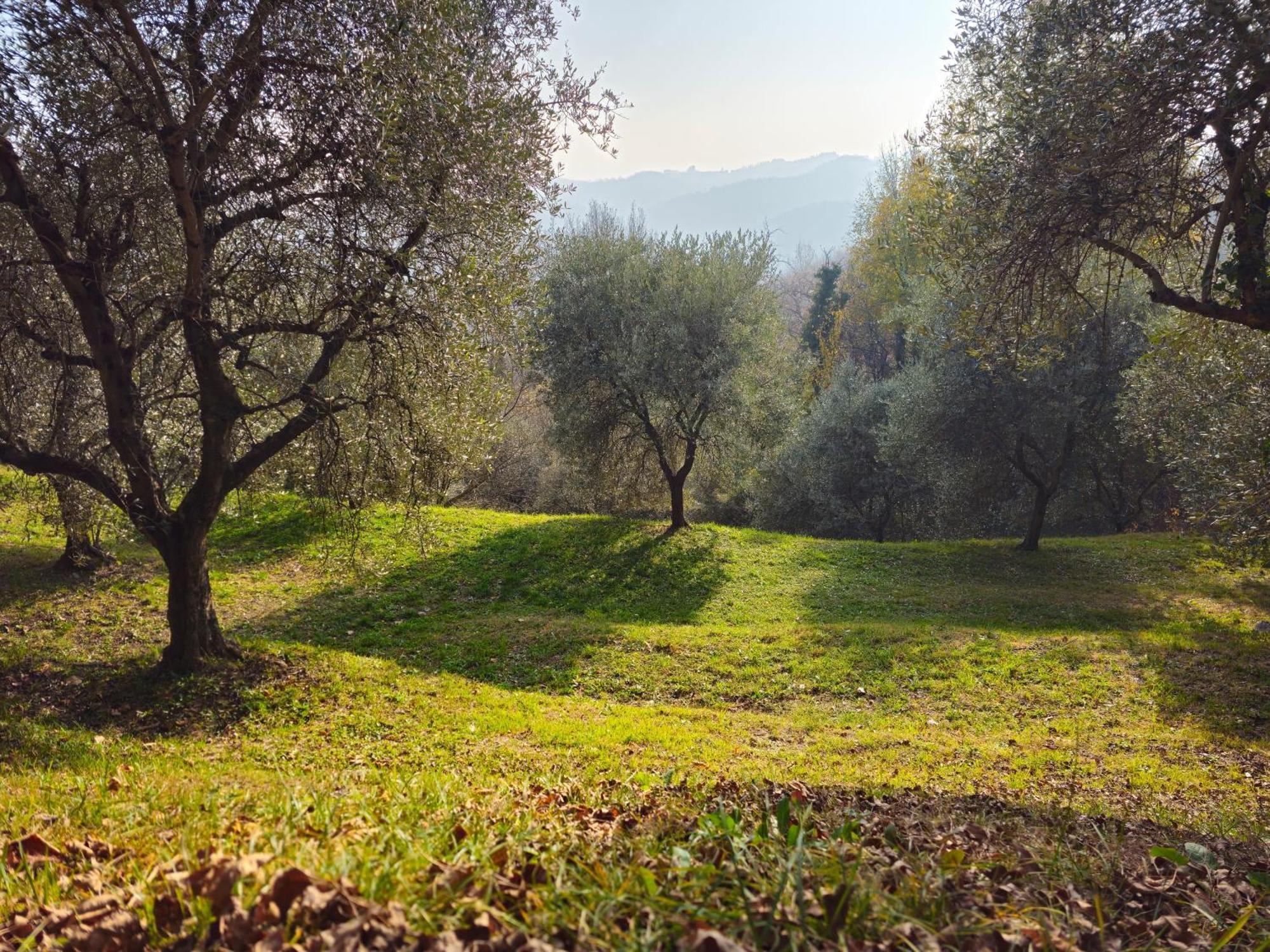 B&b Ca'Baracca Bellavista Bassano del Grappa Esterno foto