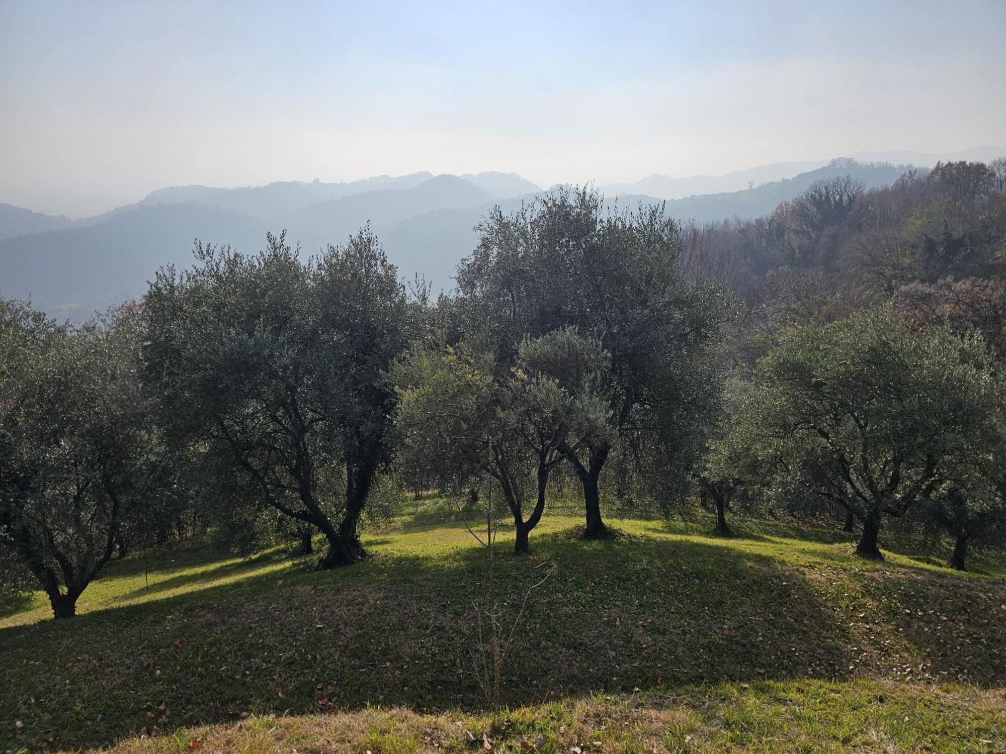 B&b Ca'Baracca Bellavista Bassano del Grappa Esterno foto
